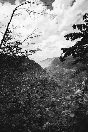 Landscapes ChattanoogaJuly 01, 2017 34